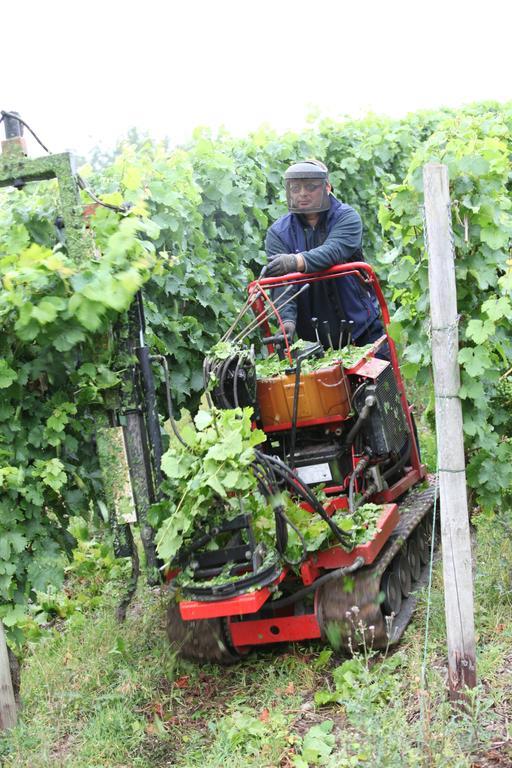 Weingut Pension Gibbert-Pohl Briedel Luaran gambar