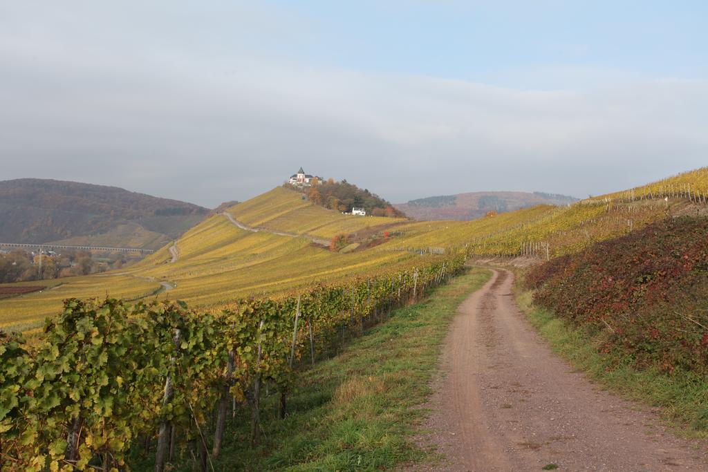 Weingut Pension Gibbert-Pohl Briedel Luaran gambar