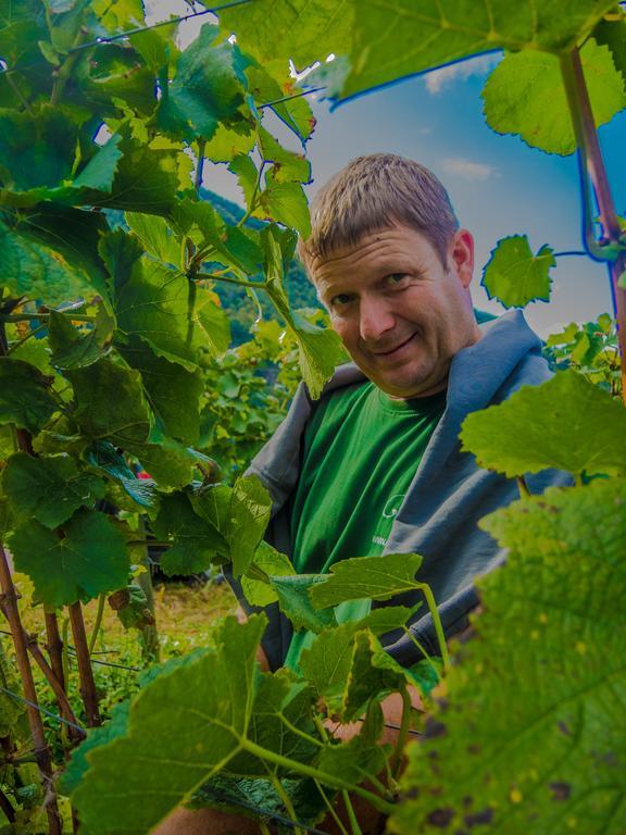 Weingut Pension Gibbert-Pohl Briedel Luaran gambar
