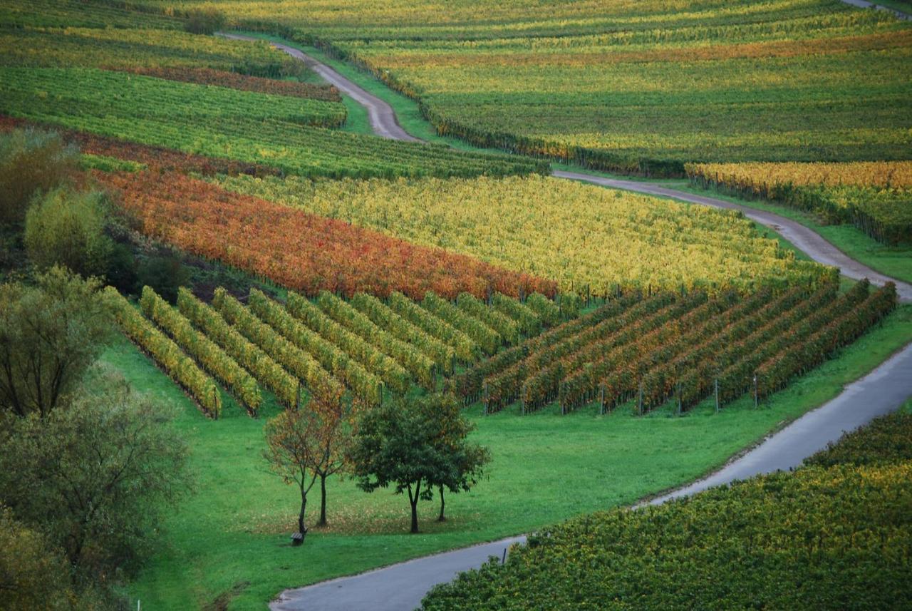 Weingut Pension Gibbert-Pohl Briedel Luaran gambar
